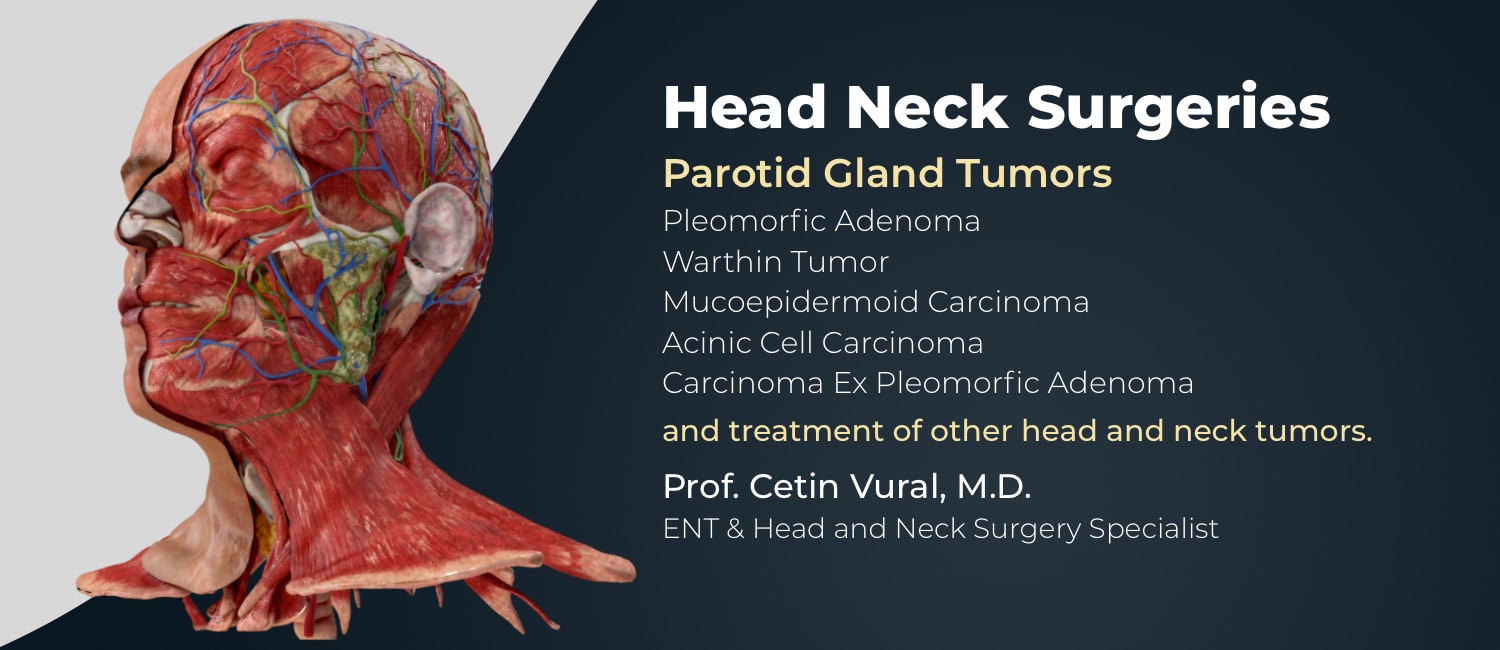 Head and Neck Surgery Istanbul